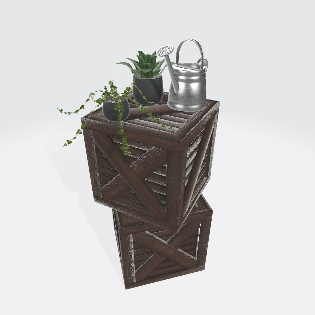 観葉植物