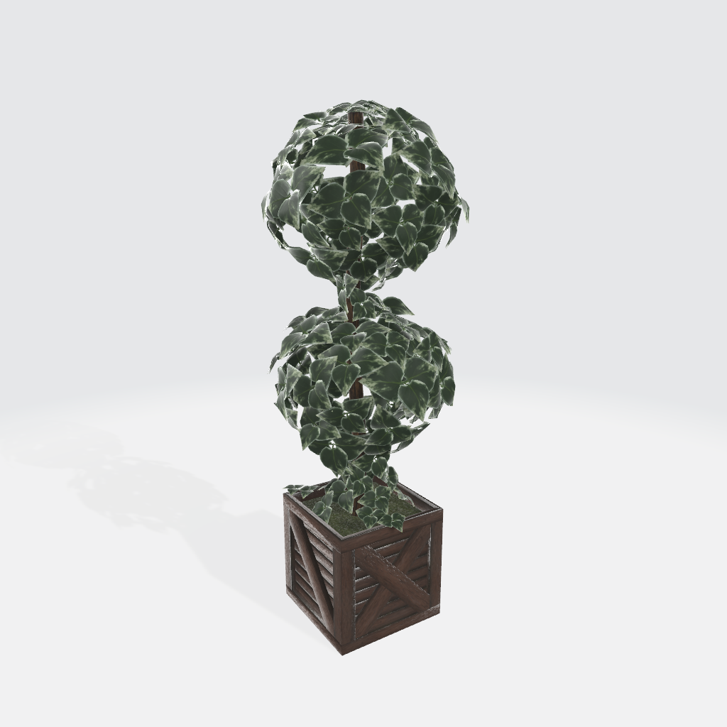 観葉植物